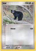 bear