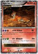 tigre feu