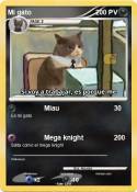 Mi gato