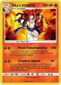 SSJ 4 GOGETA