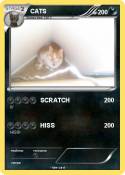 CATS