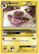 DOGE