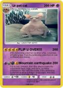 Ur pet cat