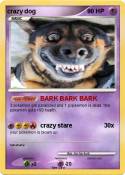 crazy dog