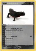 newt