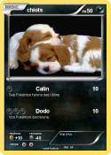 chiots