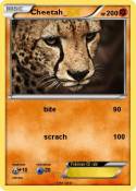 Cheetah_