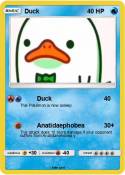 Duck