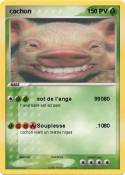 cochon