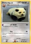 Panda dog