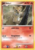 ptit lion