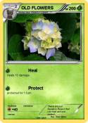 OLD FLOWERS