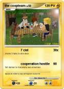 the coopteam