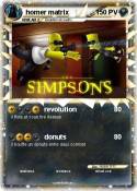 homer matrix