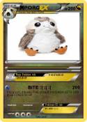 PORG
