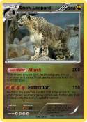 Snow Leopard