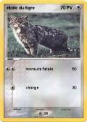étoile du tigre