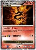 Dragon de feu