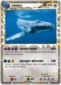 neleiba