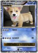 cute puppy