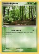 terrain de