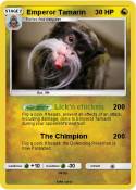 Emperor Tamarin
