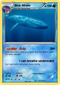 Blue Whale
