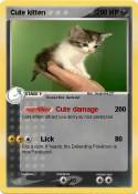 Cute kitten