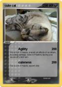 cute cat