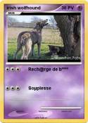 irish wolfhound