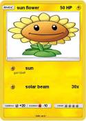 sun flower