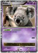 Koala