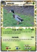saturnin