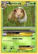 guniea pig