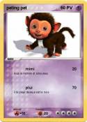 peting pet