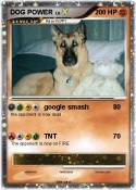 DOG POWER
