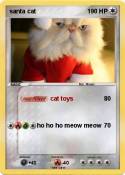 santa cat