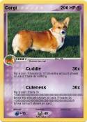Corgi