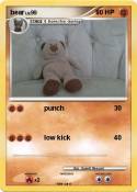 bear