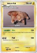Velcro Kat