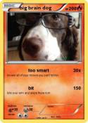 big brain dog