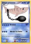 Requin
