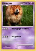 chow-chow