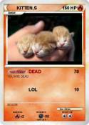 KITTEN,S