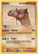 Camello 6473473