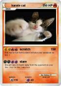 karate cat