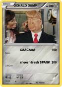 DONALD DUMP