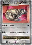 chat de la terr