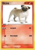 fire pug