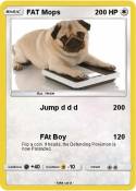 FAT Mops